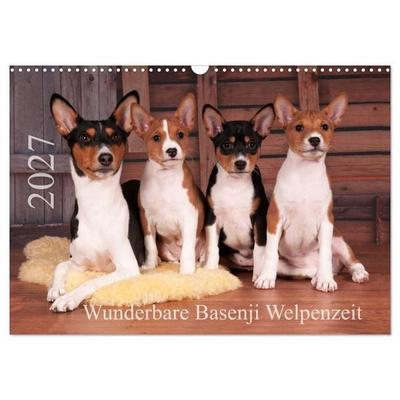 Wunderbare Basenji Welpenzeit (Wandkalender 2027 DIN A3 quer), CALVENDO Monatskalender