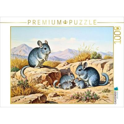 CALVENDO Puzzle Chinchillas mit Jungtieren | 1000 Teile Lege-Größe 64x48cm Foto-Puzzle für glückliche Stunden