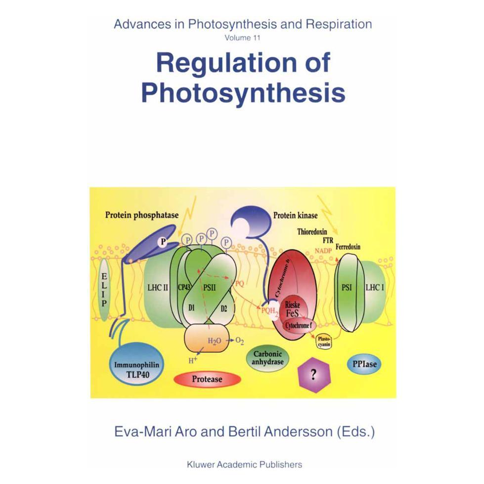 Springer Regulation of Photosynthesis (Englisch, Softcover, B. Andersson, Eva-Mari Aro) (55532473)