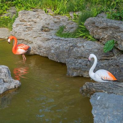 Ashcroft Stading Flamingo Pink& Orange Set of 2