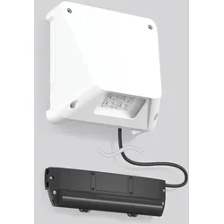 RZB LED-Sicherheitsleuchte 672948.002.F1