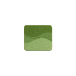 Grund Badematte   ¦ grün ¦ Synthetik ¦ Maße (cm): B: 40 H: 1,8