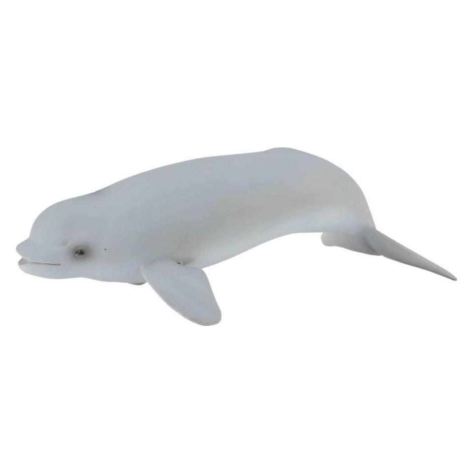 Collecta Beluga-Wal-Kalb (88617)