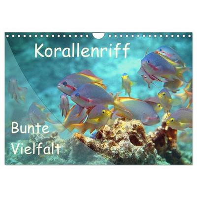 Bunte Vielfalt im Korallenriff (Wandkalender 2026 DIN A4 quer), CALVENDO Monatskalender