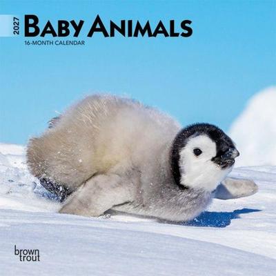 Baby Animals 2027 7 X 14 Inch (Hanging) Monthly Mini Wall Calendar