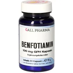 BENFOTIAMIN 100 mg GPH Kapseln vet.