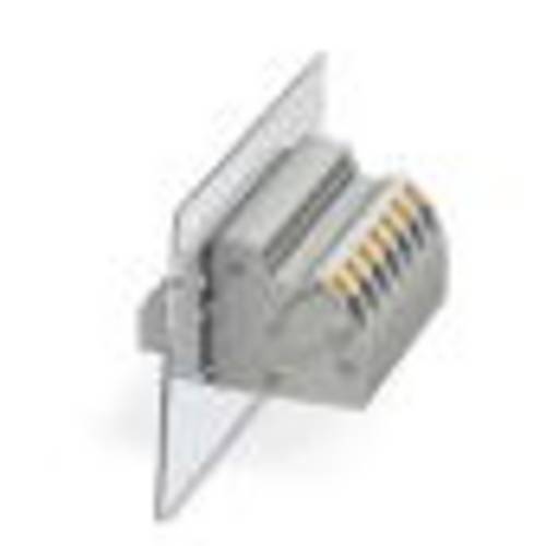 Phoenix Contact 3056941 Durchführungsklemme 8.1 mm Flachstecker Grau 50 St.