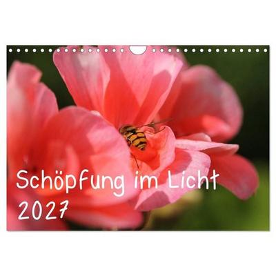 Schöpfung im Licht (Wandkalender 2027 DIN A4 quer), CALVENDO Monatskalender