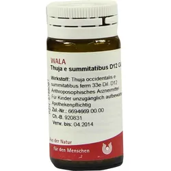 Thuja E Summitatibus D12 20 G
