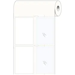 Brady, Etiketten, Print-and-Protect-Etiketten, Metallisierter Polyester, Silber, glänzend, 50.00 x 75.00 mm, e