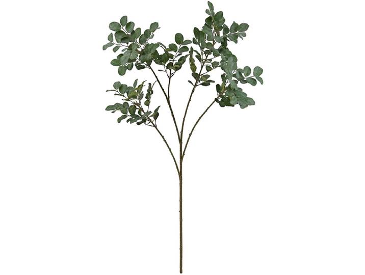 Zweig VESTIGE