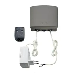 Somfy 1841152 Funksteuerung RTS 2-Kanal - Ersatz-Funkhandsender/-Empfänger für Torantriebe
