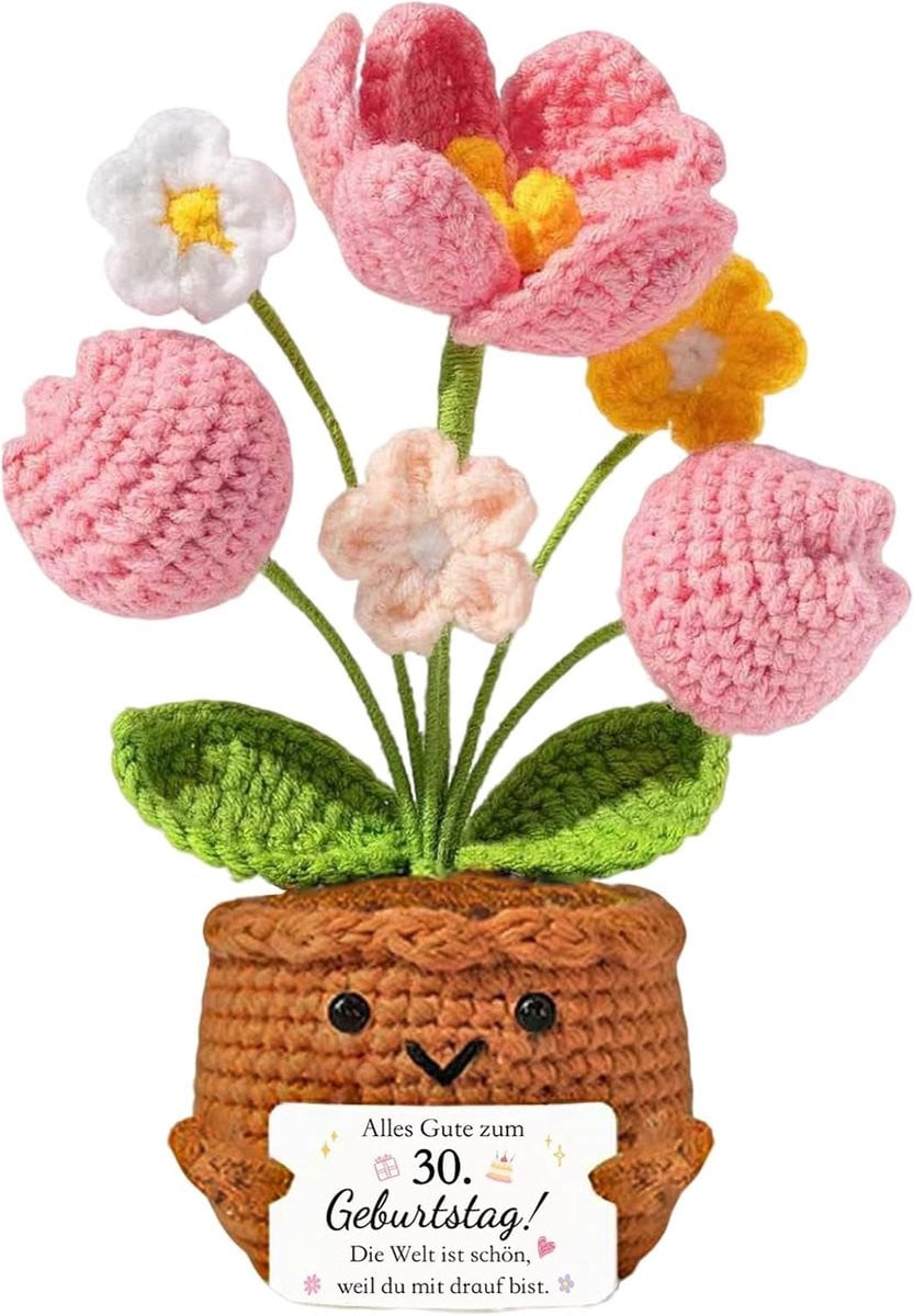 Pocket Hug Verjaardagscadeau voor Vrouwen - 30e Verjaardag Decoratie