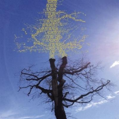 Rooting for Love - Laetitia Sadier, CD