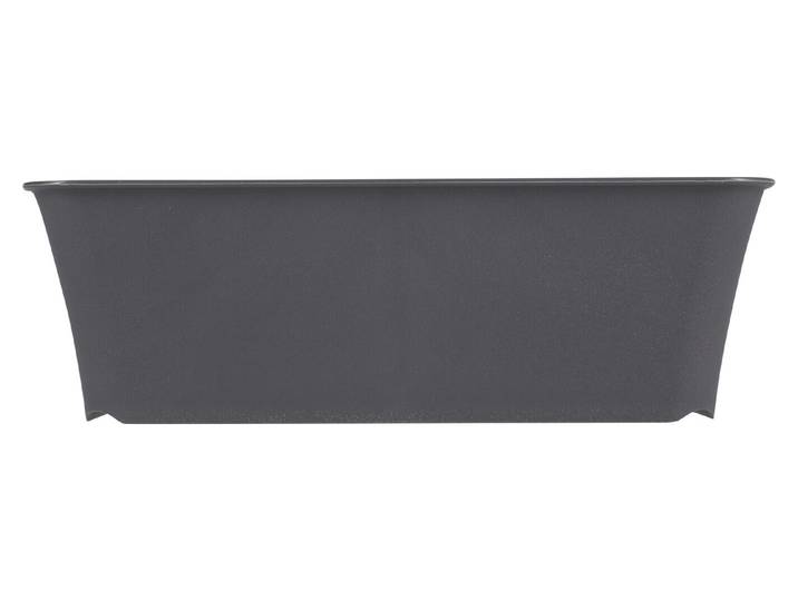 Rotho Ablagebox Living Tray C6