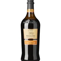 ́Assolo ́ · Lambrusco Reggiano secco DOC 2025, Medici Ermete, Emilia-Romagna