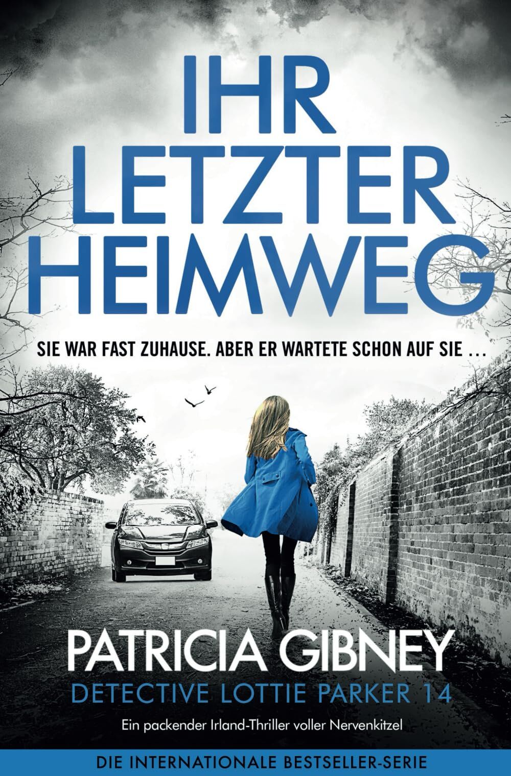 Patricia Gibney - Ihr letzter Heimweg: Ein packender Irland-Thriller voller Nervenkitzel - Preis vom 15.10.2026 23:06:25 h