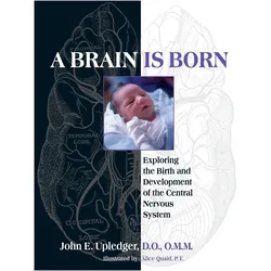 A Brain Is Born, Fachbücher von John E. Upledger