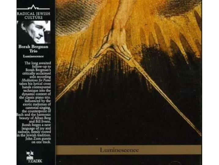 Borah Bergman Trio - Luminescence