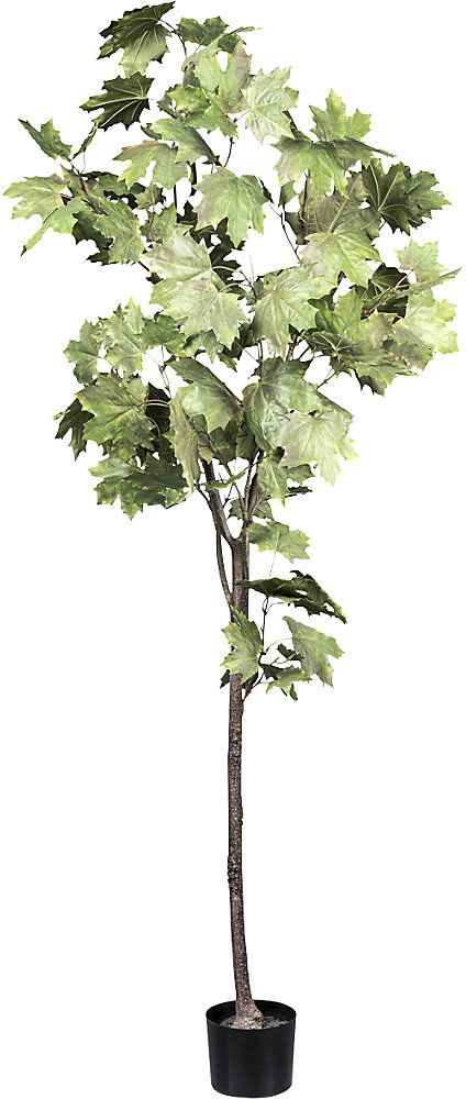 kaiserkraft Ahornbaum, künstliche Pflanze, Kunststofftopf, Höhe 1750 mm