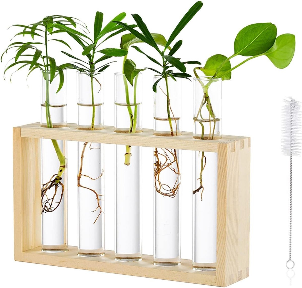 SnelShoppen Glas Plant Holder Grow Station met Houten Standaard voor Hydroponics en Snijbloemen