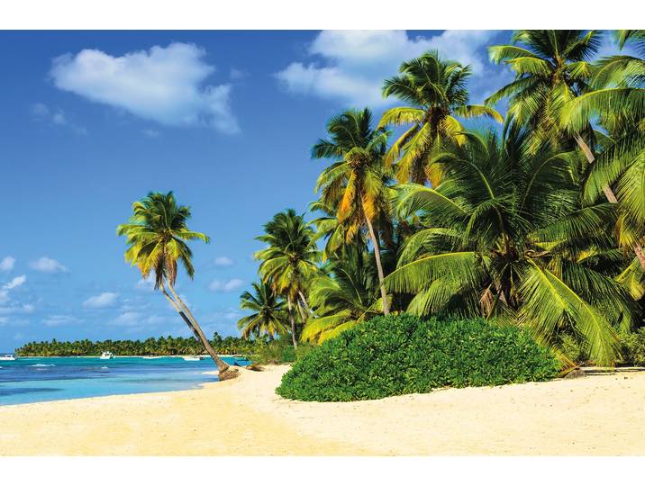 Fototapete PAPERMOON Exotic Palm Beach , bunt, B:4m L:2,6m, Vlies, Tapeten, Fototapete