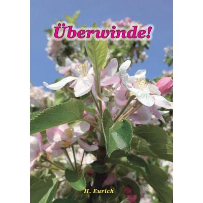 Überwinde, Taschenbuch von Harry Eurich, BoD – Books on Demand, 978-3-7412-4363-9