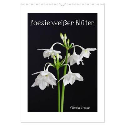 Poesie weißer Blüten (Wandkalender 2027 DIN A3 hoch), CALVENDO Monatskalender