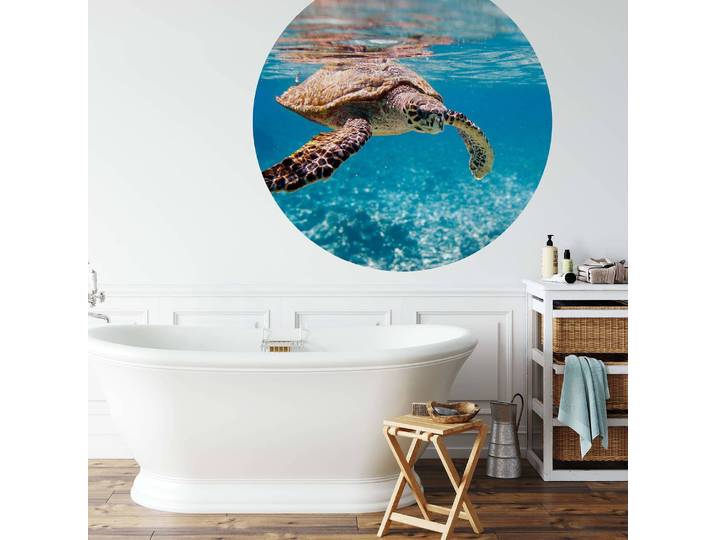 home24 Fotobehang Turtle on Travel 1 x 1cm