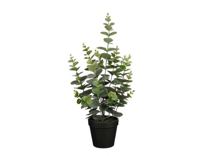 Mica Decorations kunstplant Eucalyptus in pot