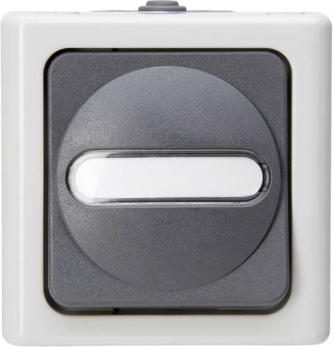 Kopp 560756009 1 Stück Feuchtraum-Schalterprogramm Komplett Kreuzschalter BlueElectric Grau 1 St.