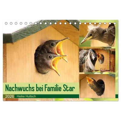 Nachwuchs bei Familie Star (Tischkalender 2026 DIN A5 quer), CALVENDO Monatskalender