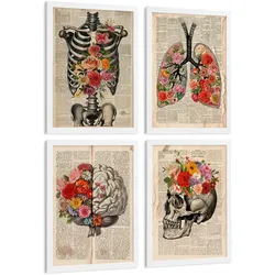 POSTER Set aus 4 Vintage Anatomie und Wandbilder mit Rippen Wirbelsäule Lungen Luftröhre Bronchien Gehirn und Schädel Größe Weißer Rahmen A4
