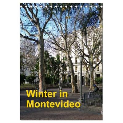 Winter in Montevideo (Tischkalender 2027 DIN A5 hoch), CALVENDO Monatskalender