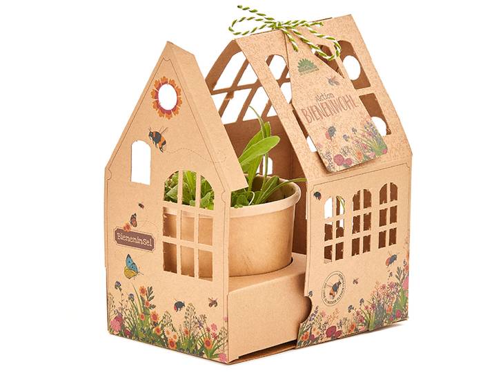 Wildblumen-Gewächshäuschen Bieneninsel