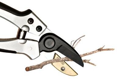 Kings County Tools 7.75” Heavy Duty Anvil Pruning Shears for Gardening - Small Branch Cutter