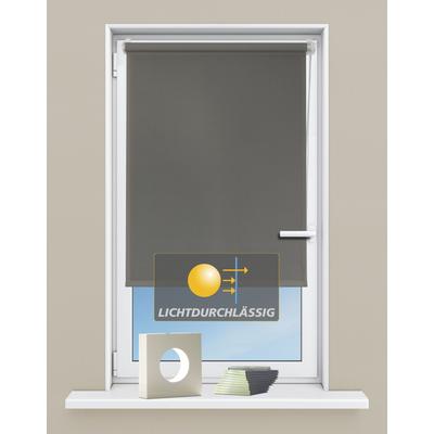 Kutti "Seitenzugrollo Ida, Lichtschutz, Klemmfix, ohne Bohren, Fixmaß" Lichtschutz ohne Bohren Sichtschutz, Sonnenschutz