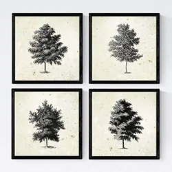 POSTER Set mit 4 Blättern der dünne Kruste Jahrgang Hintergrund 20x20cm Rahmenlos