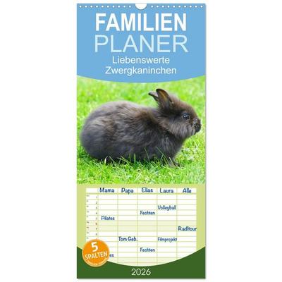 Familienplaner 2026 - Liebenswerte Zwergkaninchen mit 5 Spalten (Wandkalender, 21 x 45 cm) CALVENDO