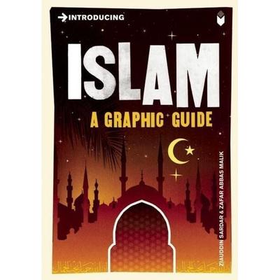 Introducing Islam, Taschenbuch von Ziauddin Sardar, Icon Books