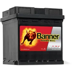 12V 42Ah 390A Banner Power Bull P4208 Starterbatterie