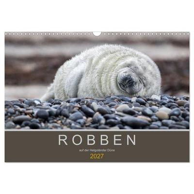 Robben auf der Helgoländer Düne (Wandkalender 2027 DIN A3 quer), CALVENDO Monatskalender