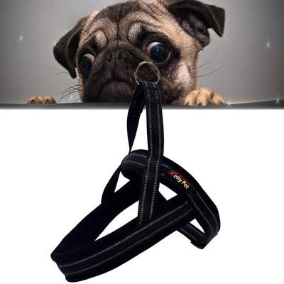 United Reflective Dog Harness With Leash For Safe Big Dog Walks black m