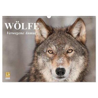 Wölfe. Verwegene Anmut (Wandkalender 2026 DIN A3 quer), CALVENDO Monatskalender