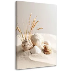LEINWANDBILD Muscheln Pflanzen Natur Boho 40x60cm