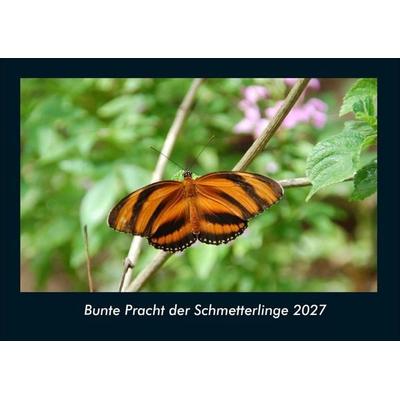 Bunte Pracht der Schmetterlinge 2027 Fotokalender DIN A4