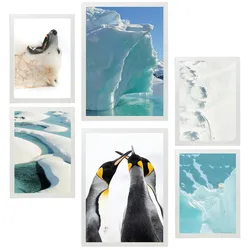 POSTER Set Mit 6 Eis In Der Antarktis Bär & Pinguine Im Türkisfarbenen Wasser A3 & A4 Weißer Rahmen