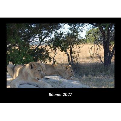 Bäume 2027 Fotokalender DIN A3