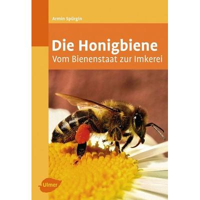 Die Honigbiene, Taschenbuch von Armin Spürgin, Verlag Eugen Ulmer