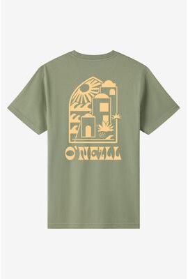 O'Neill s Frothy Classic T-Shirt in Sage, Size XL